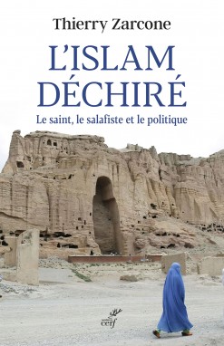 Image de l'article